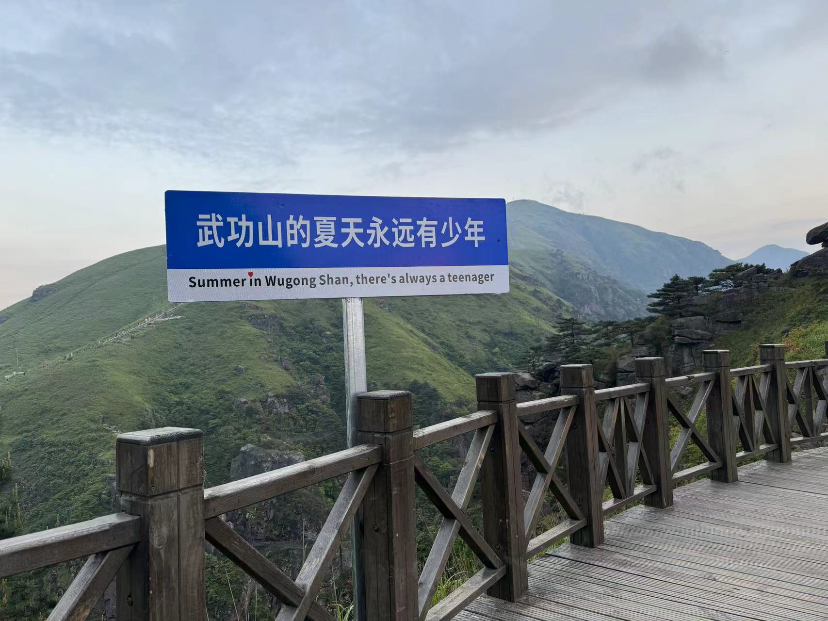 智能存放架